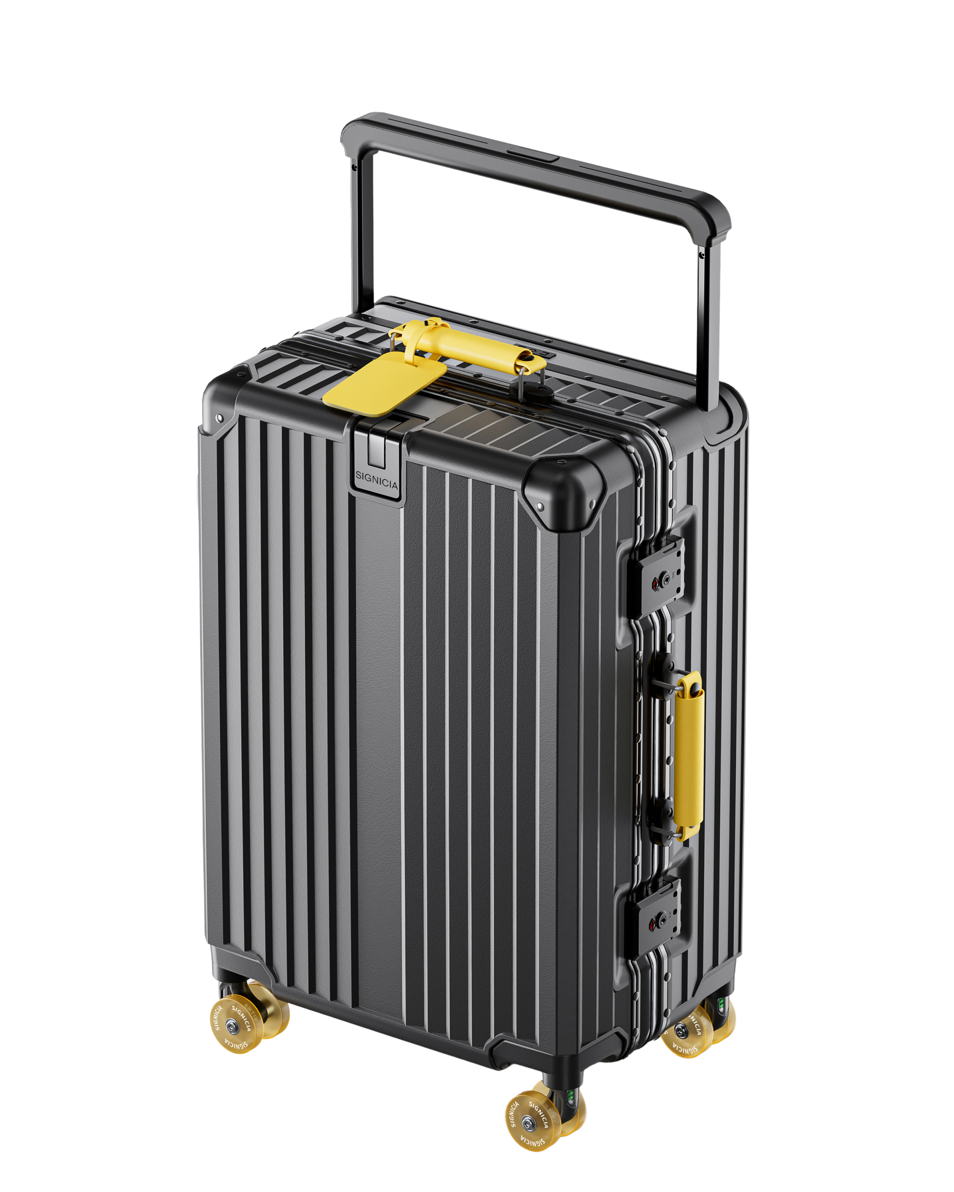 SIGNICIA Luggage