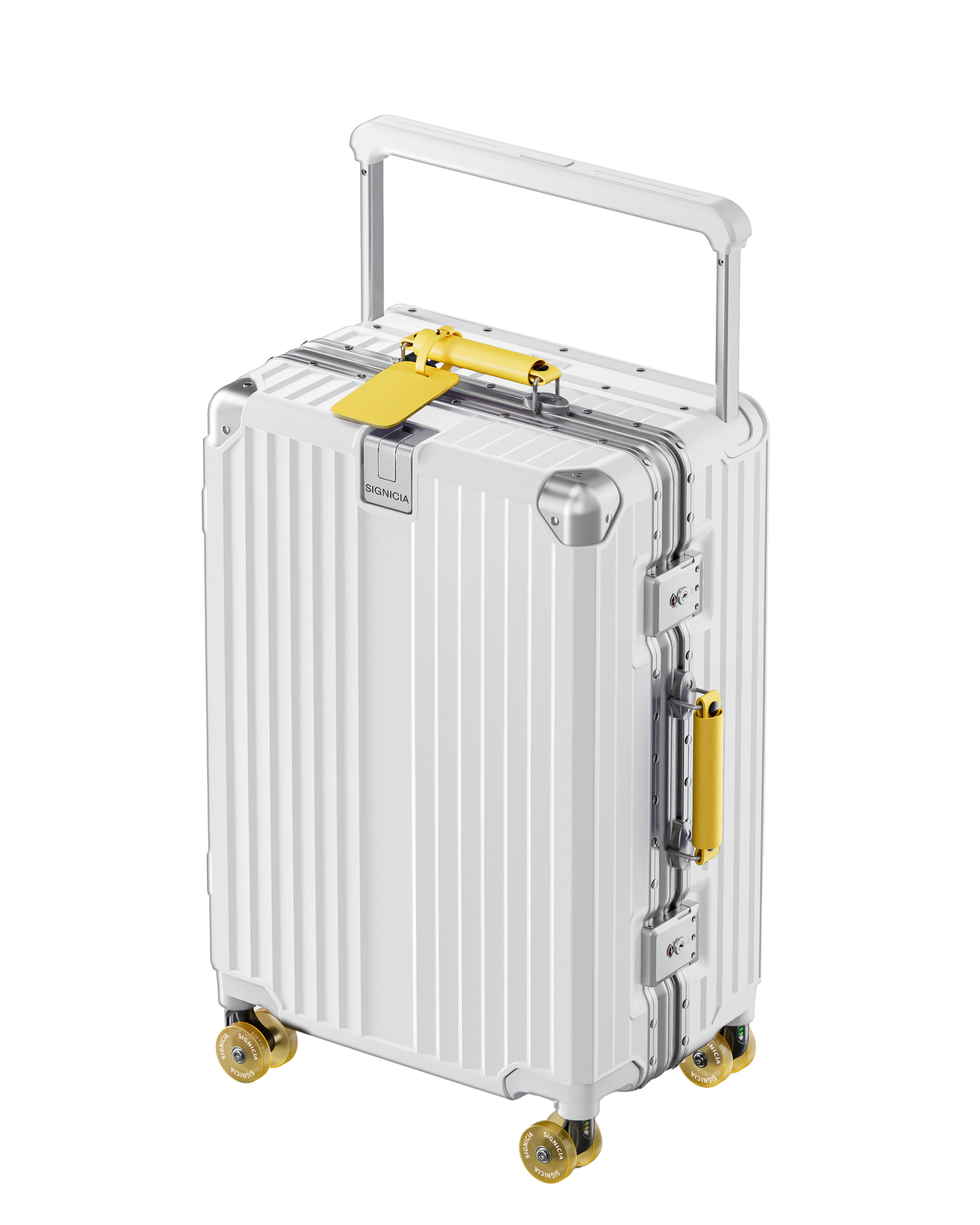 SIGNICIA Luggage