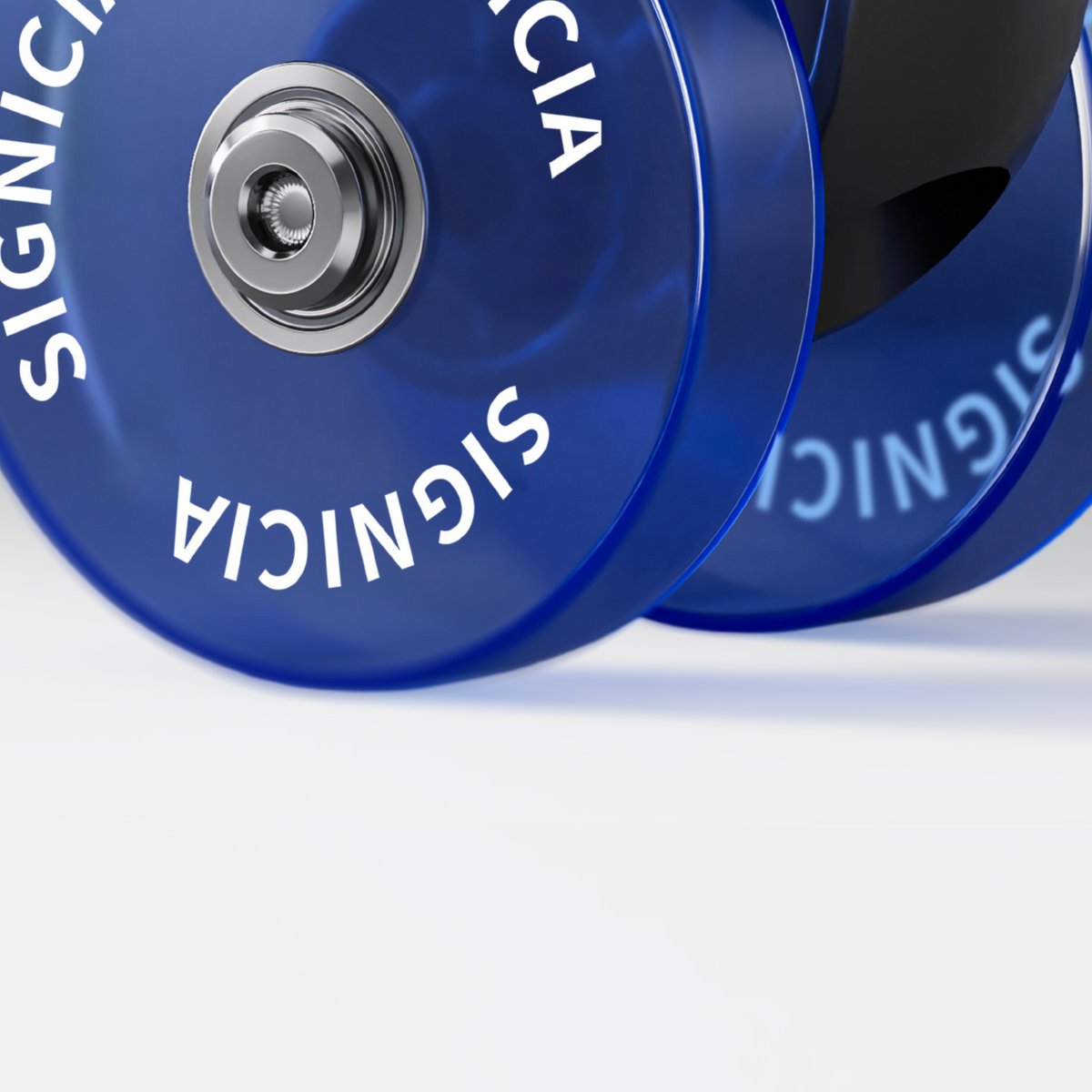 SIGNICIA Luggage